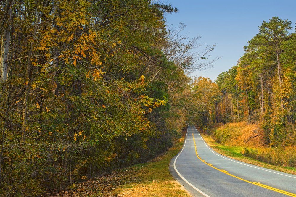Fall on the Scenic River Road