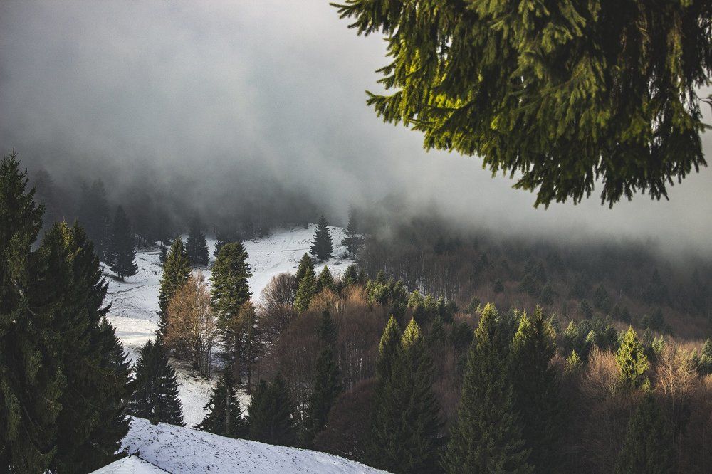 Photograph by Евгений