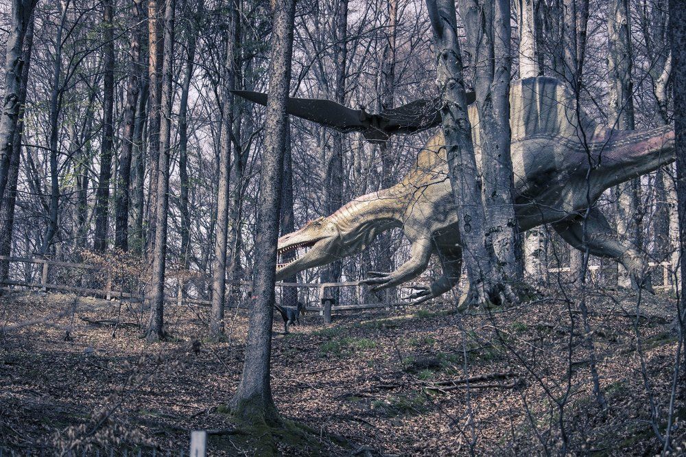 Photograph by Евгений