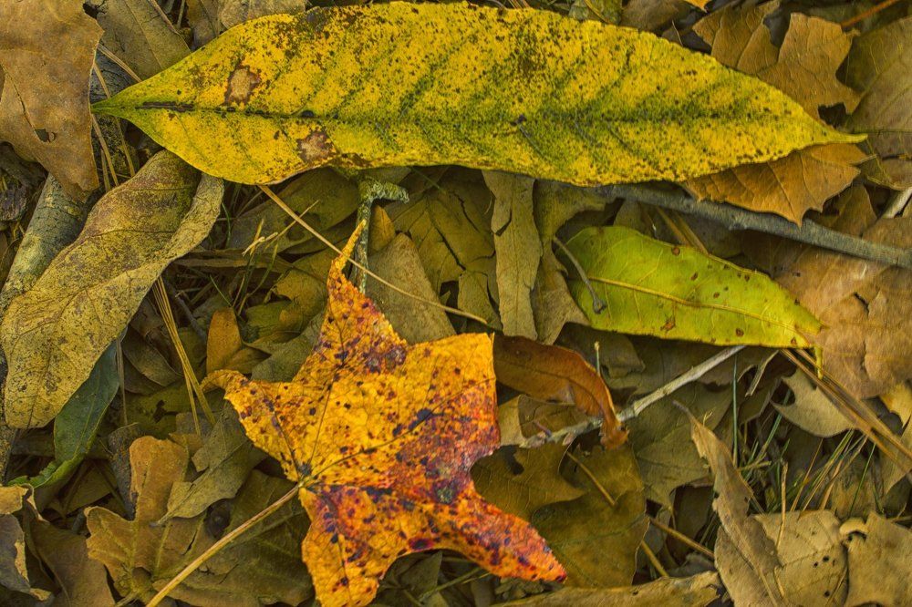 The Ultimate Fall Collection