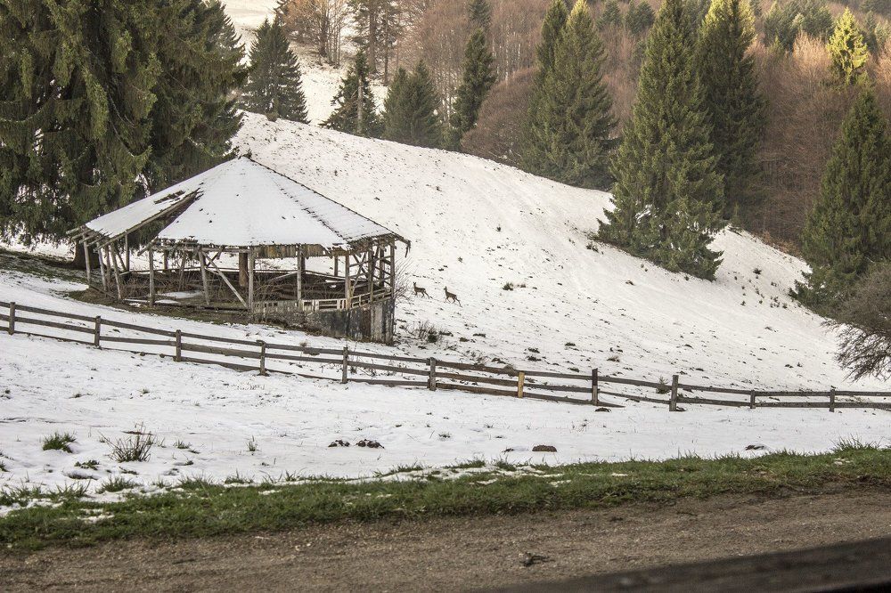 Photograph by Евгений