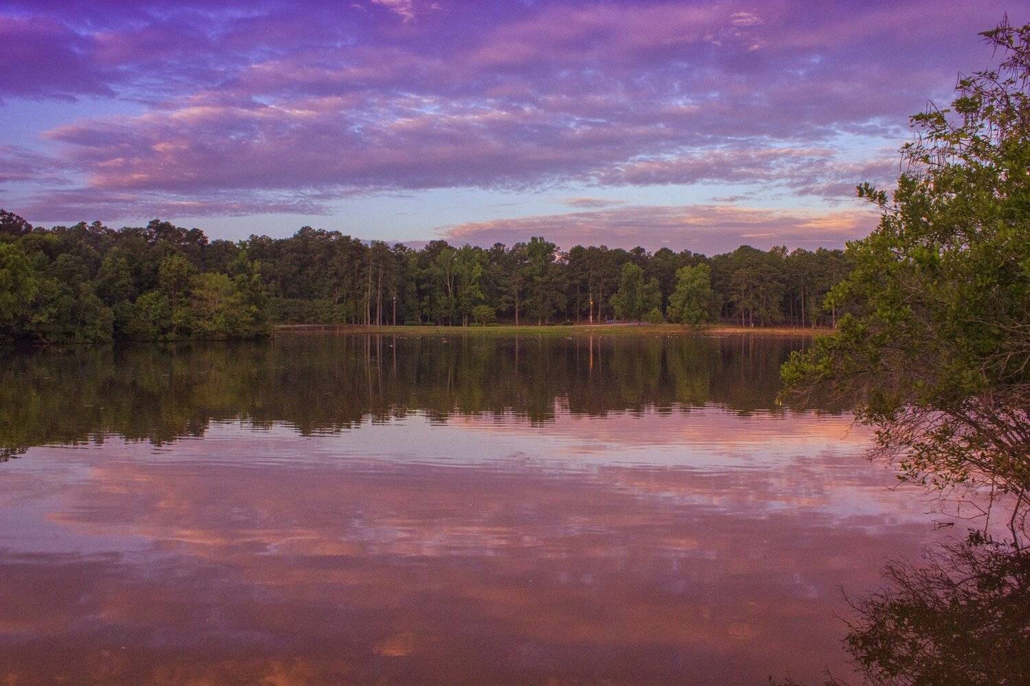 The Pink and Purple Sunrise