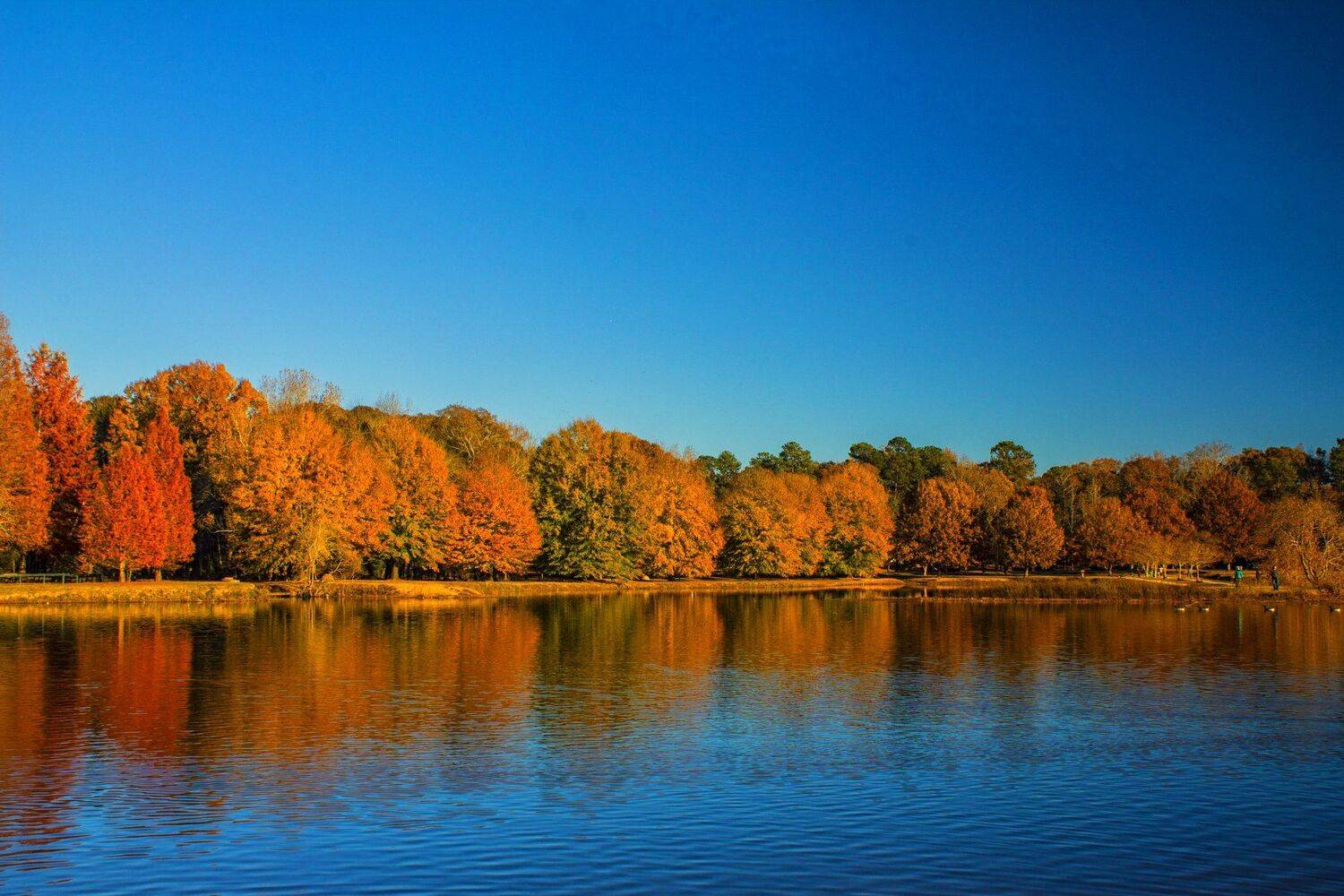 The Real Fall Season