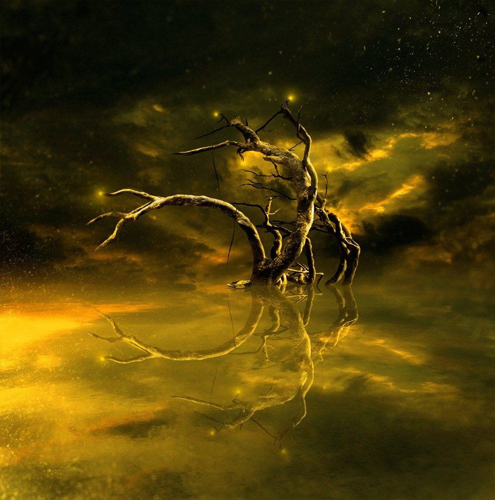 Тернистый свет...