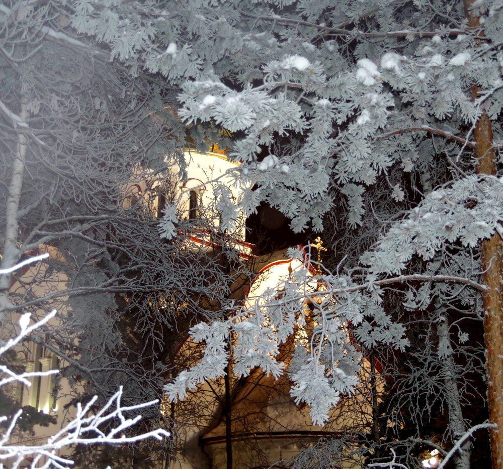 Photograph by Алина Фаттахова