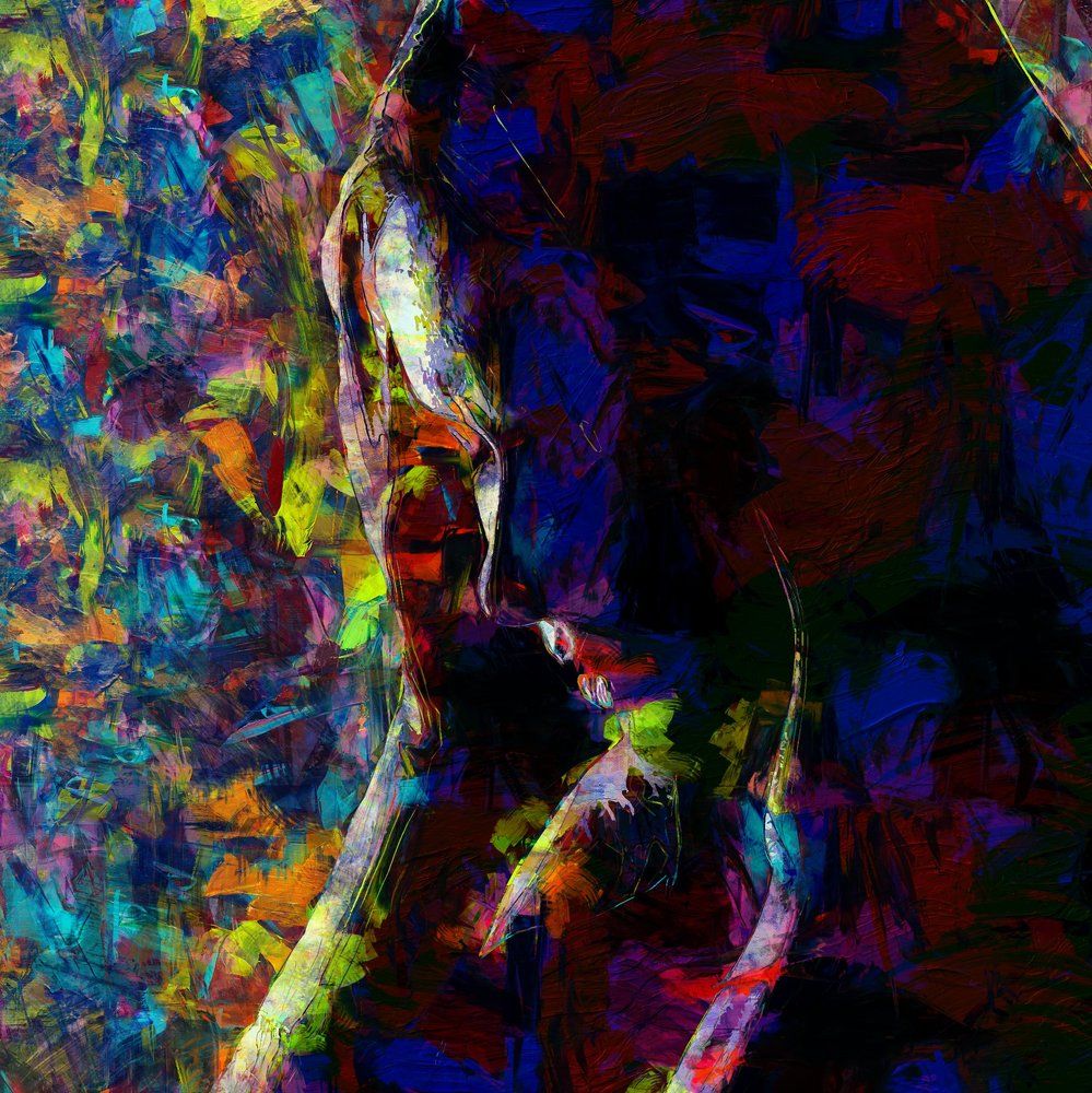 Фотография автора ТАРАСОВ ЕВГЕНИЙ