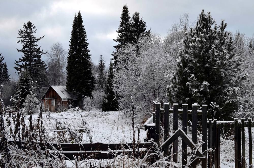 Такая осень в ноябре