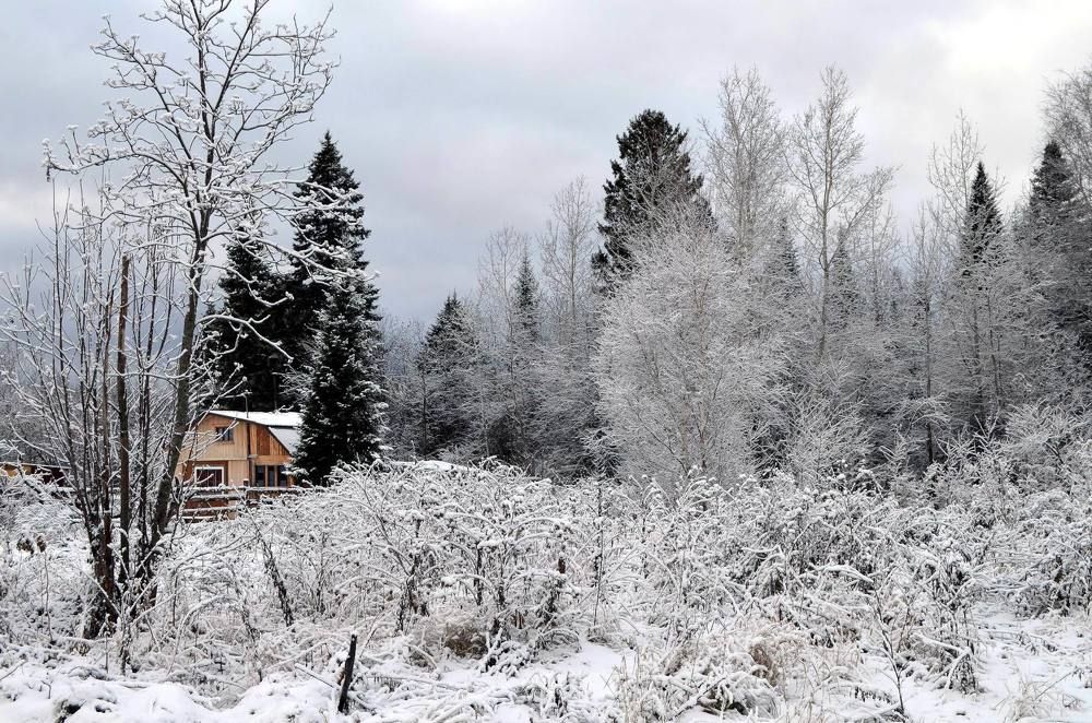 Такая холодная и красивая осень