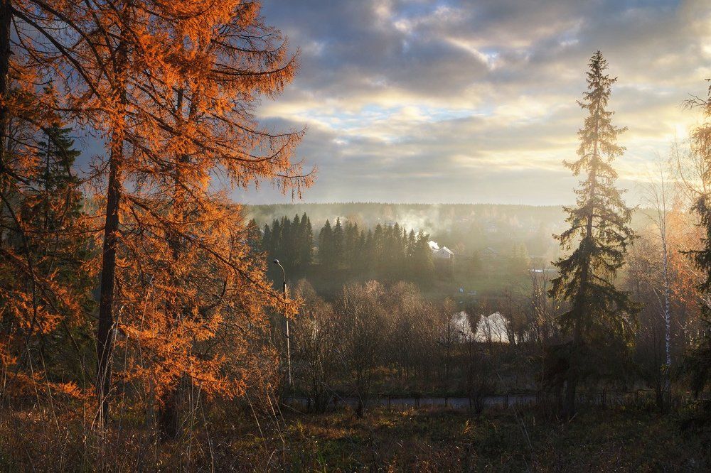 Последние краски осени
