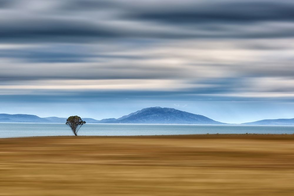 Окно в Тасманию