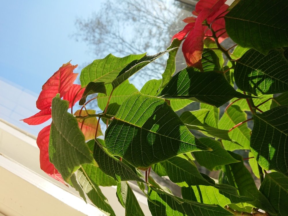 Photograph by Игнат Крошко