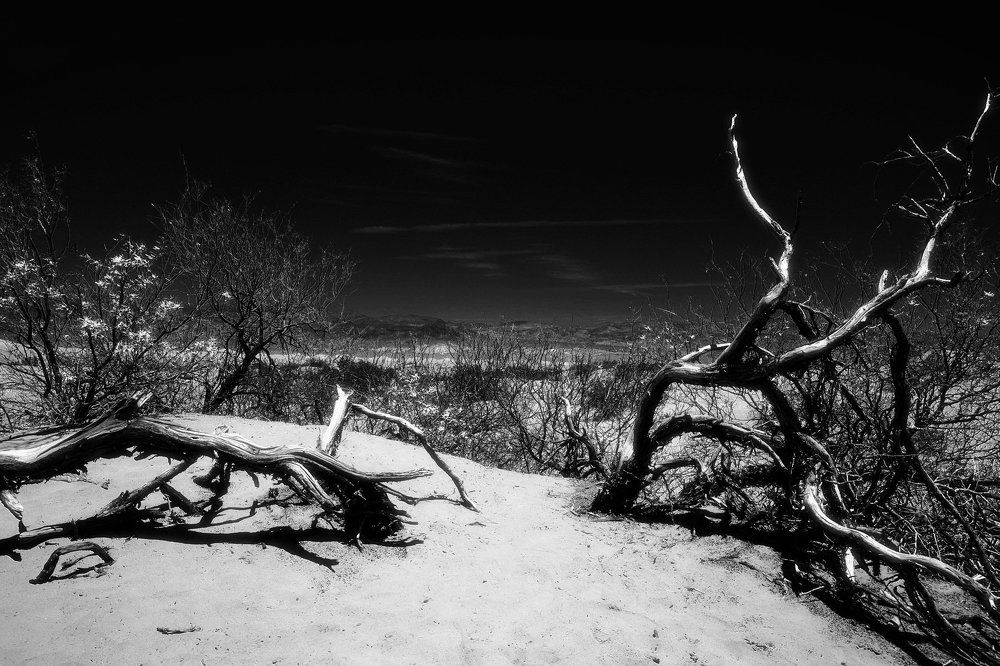 Долина смерти. США.