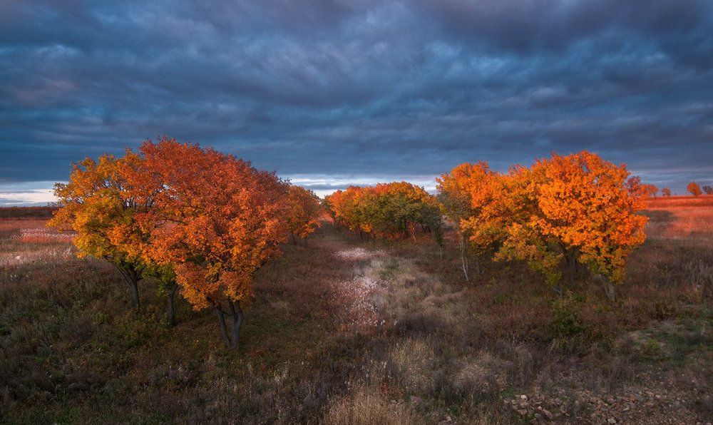 немного о осени.