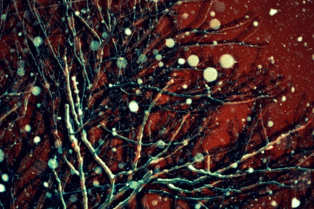 Первый снег