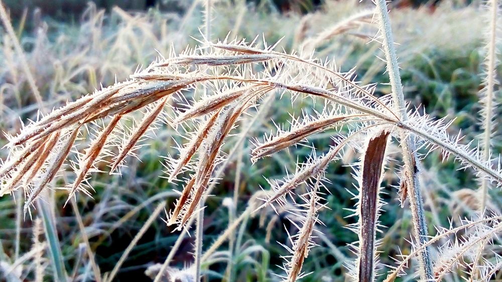 Photograph by Михалевич Машка