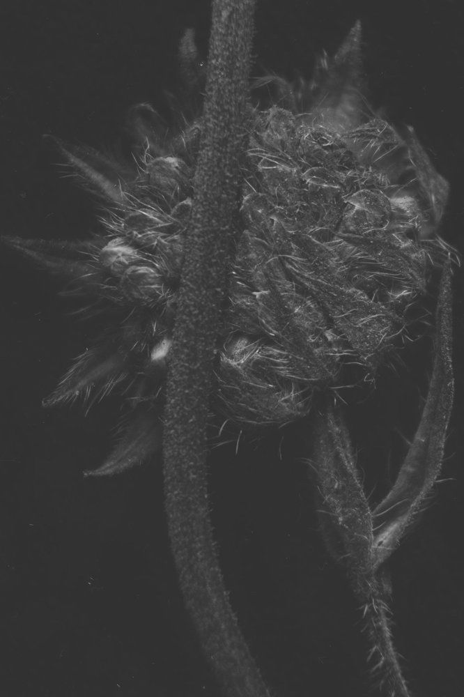 About love and suffering