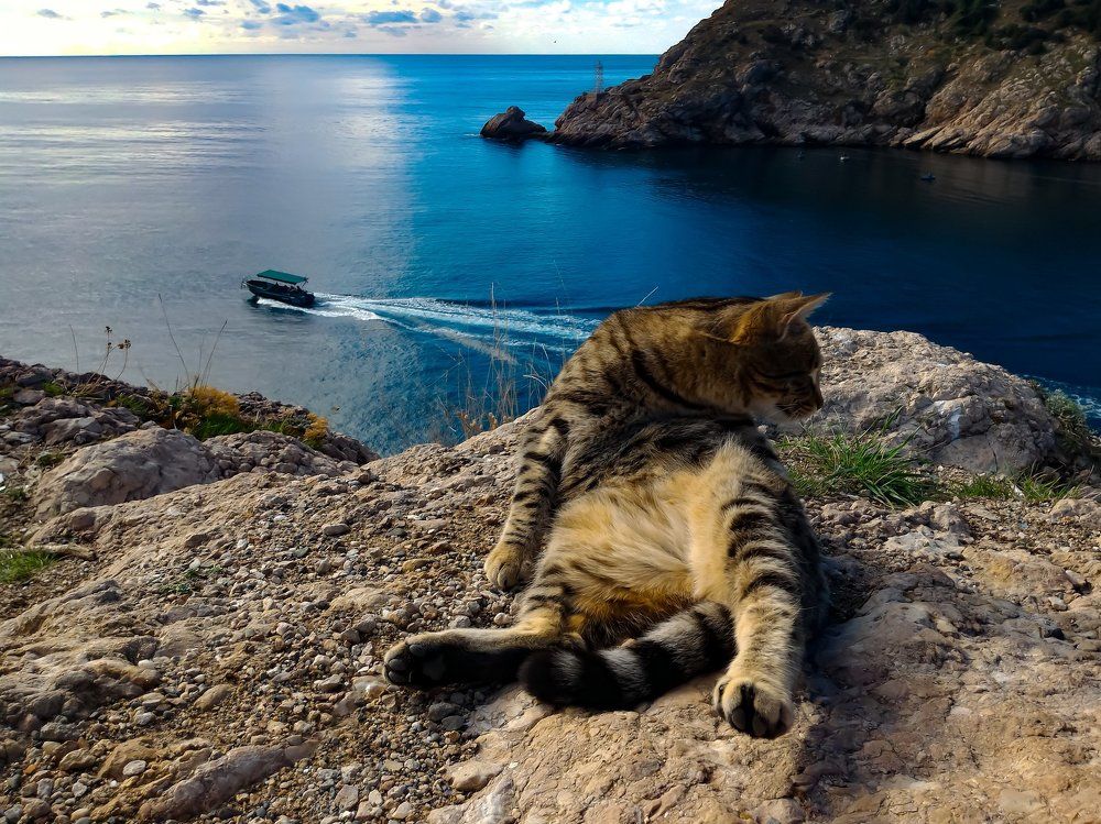 Вход в Балаклавскую бухту под надёжной охраной...