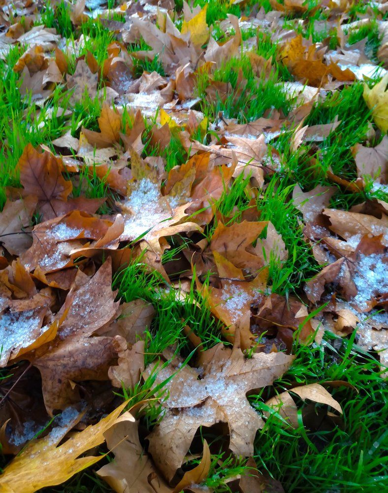 Севастопольская осень...