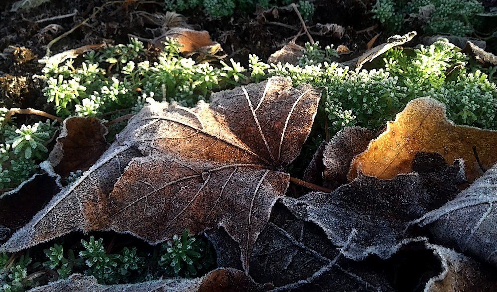 Фотография автора Владислава Андрюнина