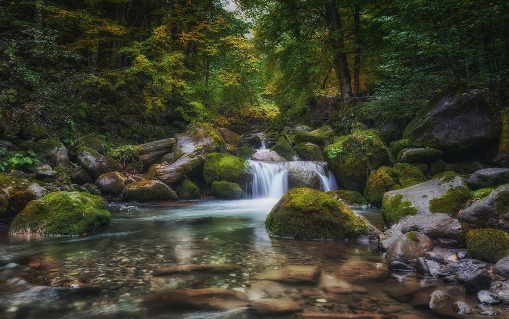 Осенний Рожкао...