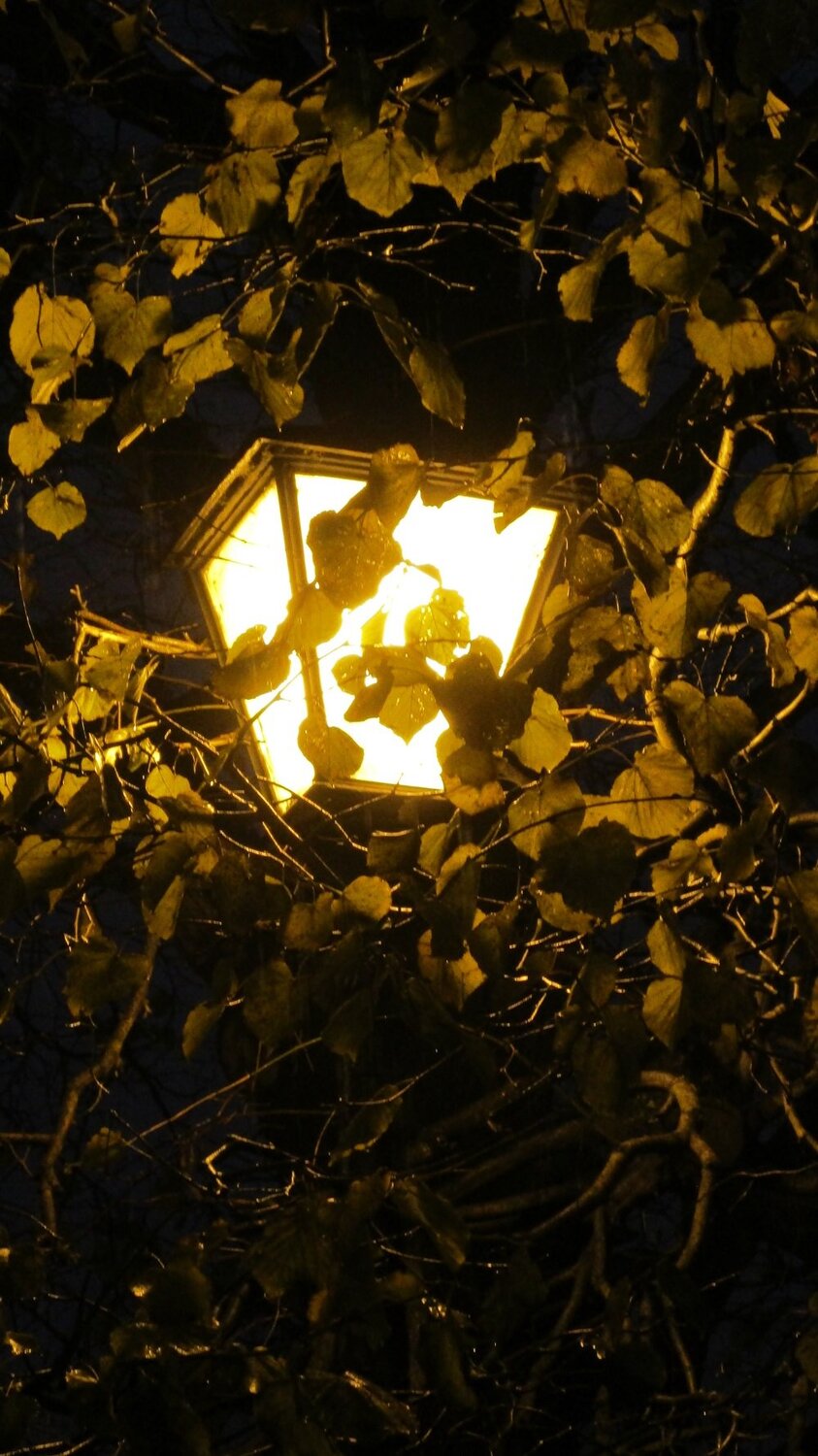 Осень.