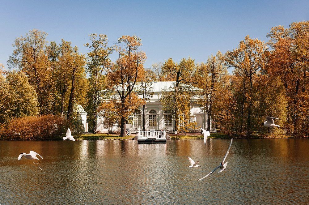 Photograph by Яна Шевченко