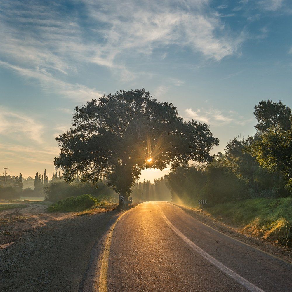 -по дороге к свету-