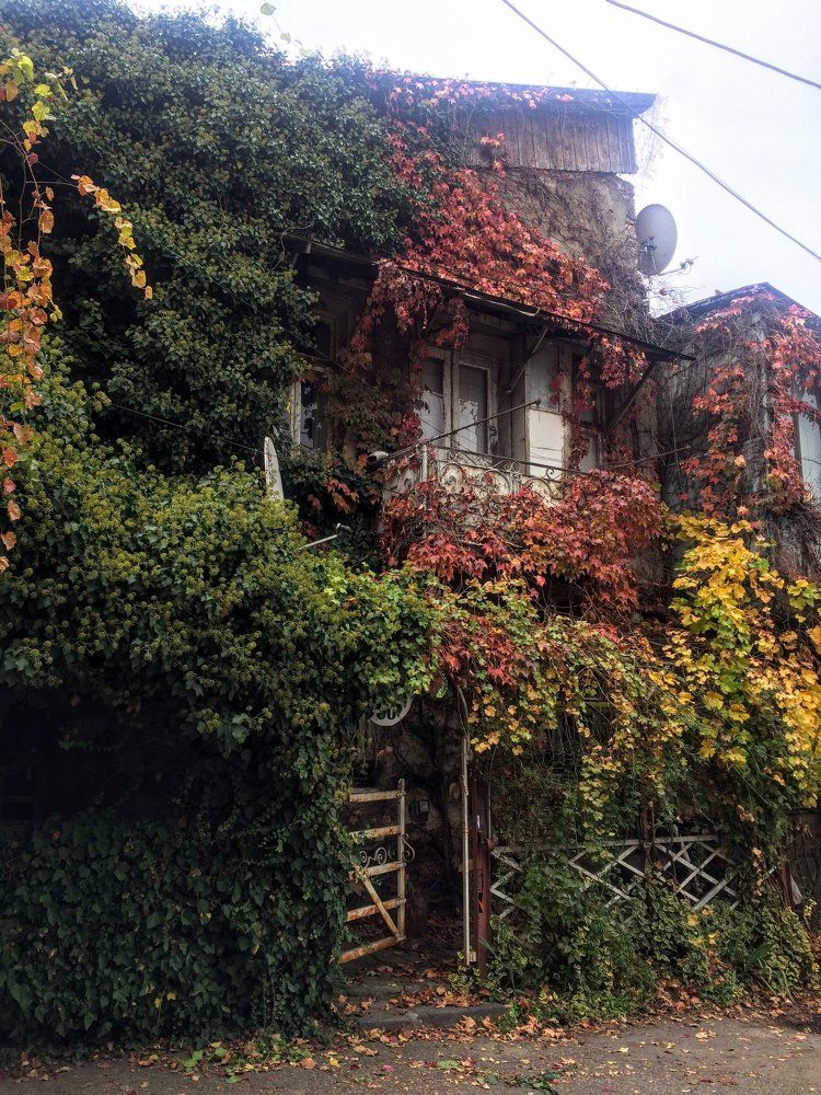 Сказочный домик