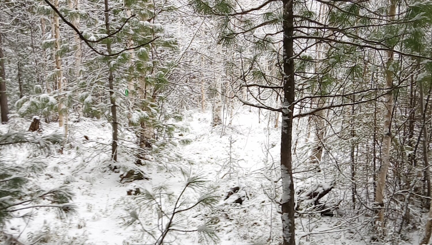 Photo #2056835