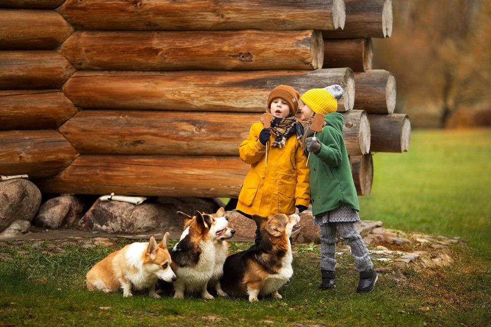 Photograph by Татьяна Воронова