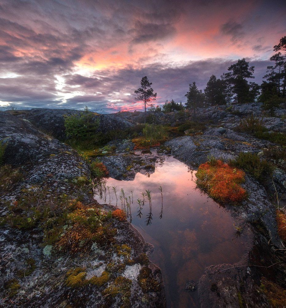 Ладожский колорит