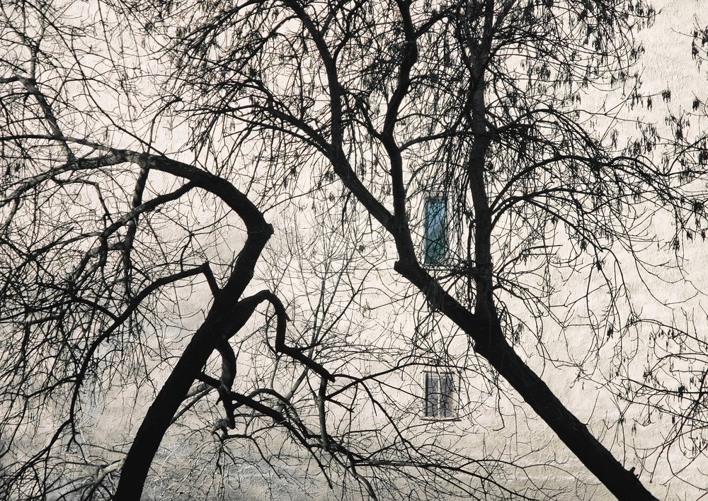 Мужчина и женщина