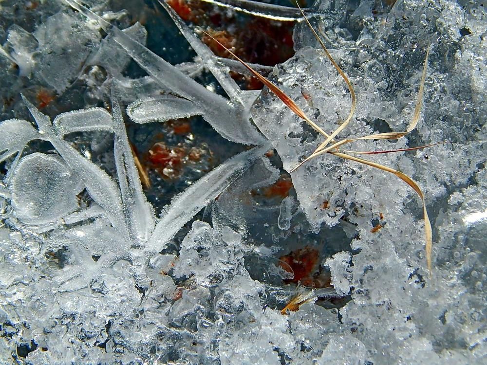 Ледовые фантазии