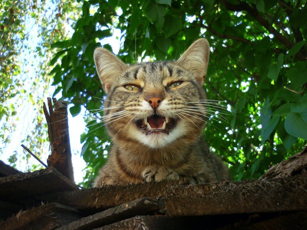 Smile!