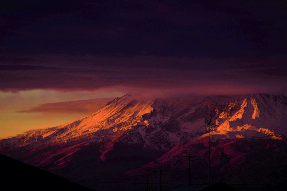 Ararat