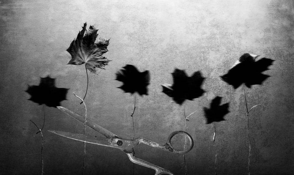 Равновесие