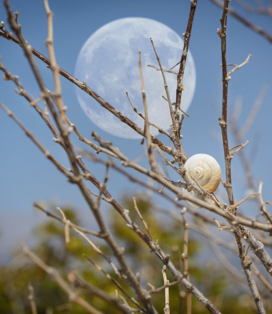 Photograph by Анна