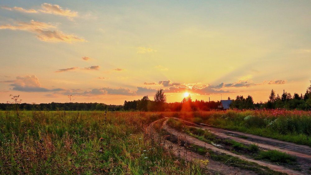 Летний вечер