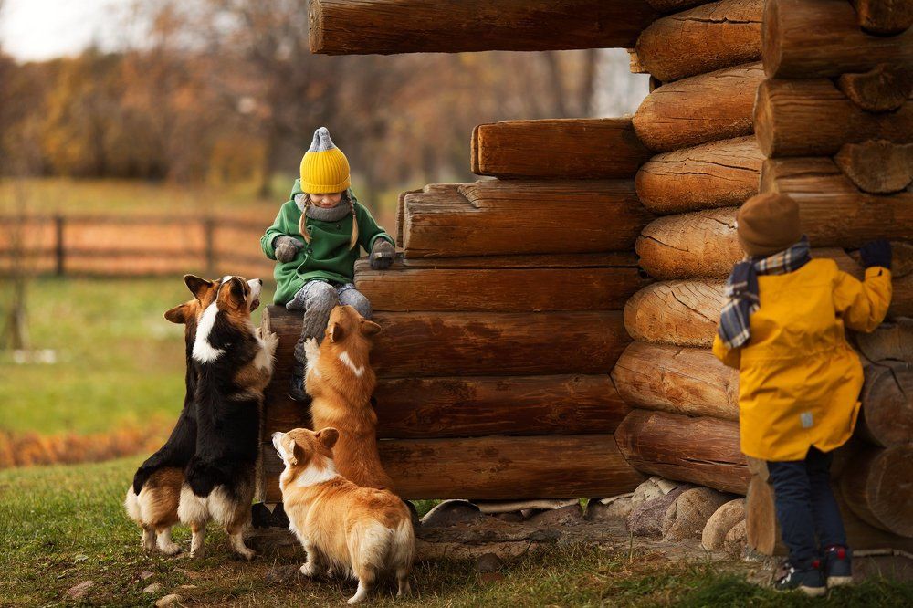 Photograph by Татьяна Воронова