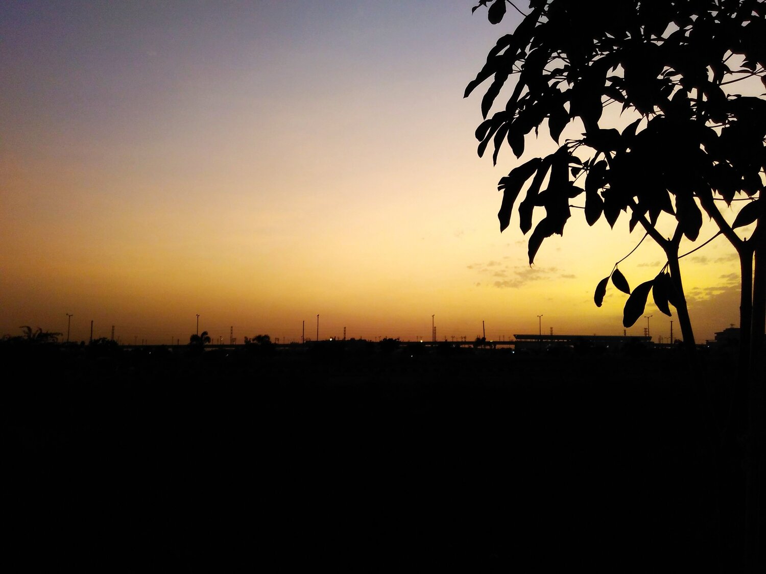 Sunset