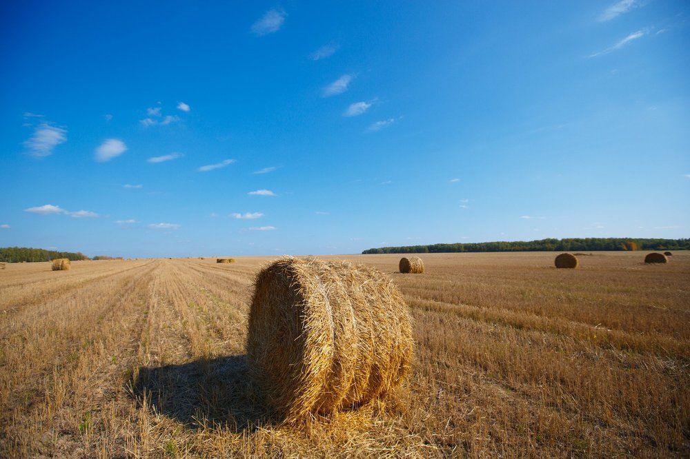Стога сена