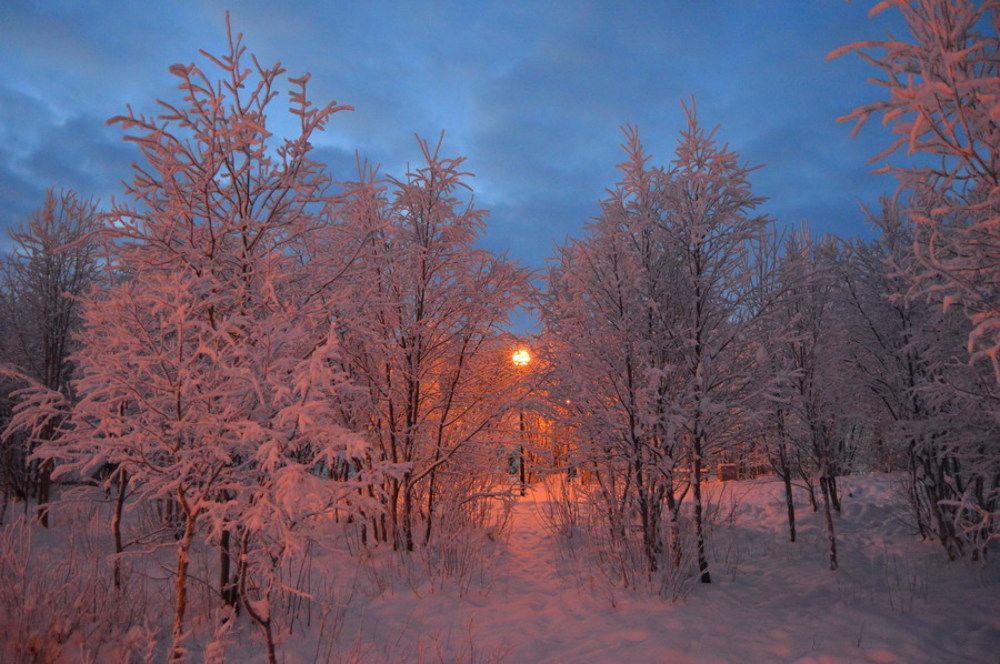 Волшебная зима