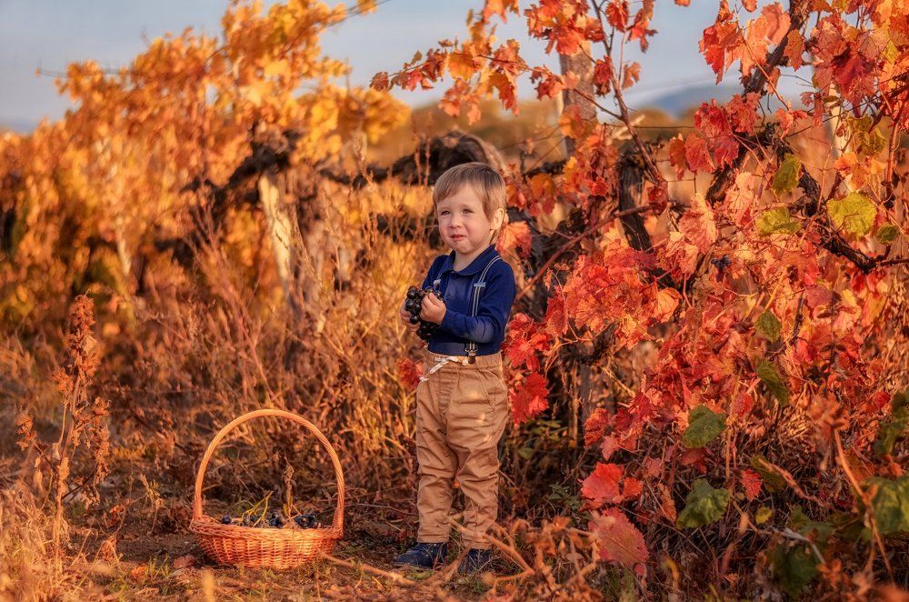 красиво и кормят хорошо))