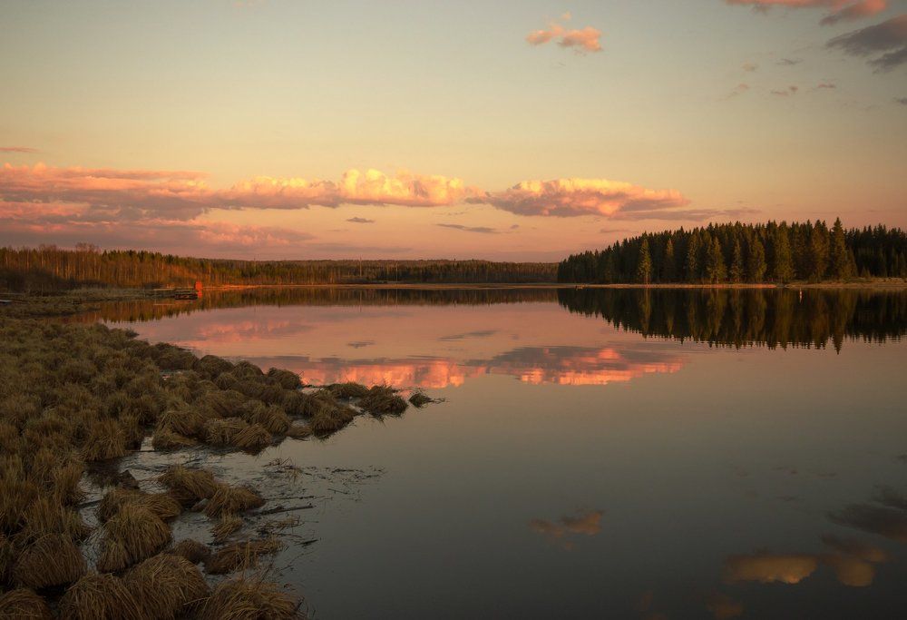 Яркие краски весны