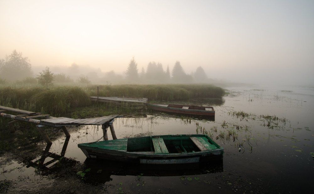 Утро в речке