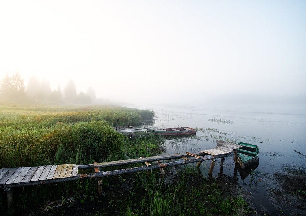 Легкое летнее утро