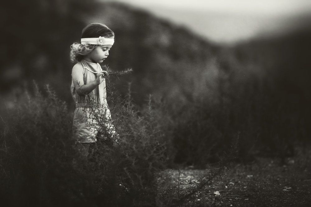 Фотография автора Сергей Гринис