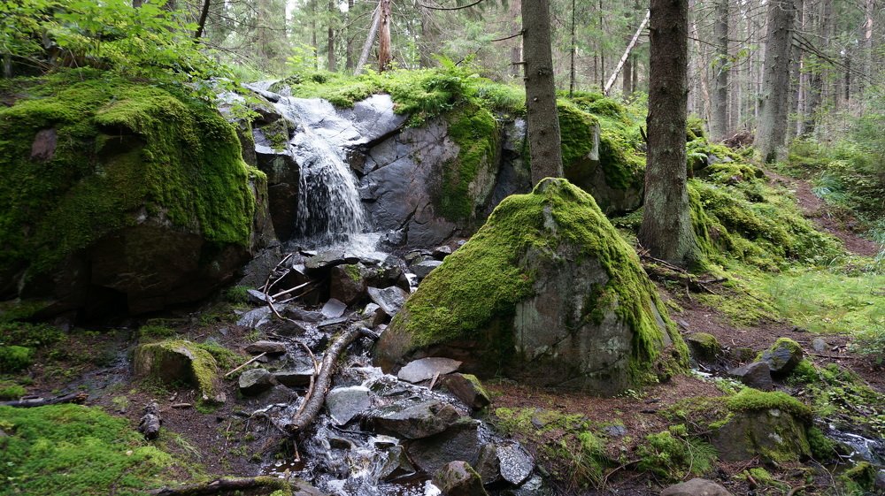 Карелия. Лесной водопад на острове Риеккалансаари