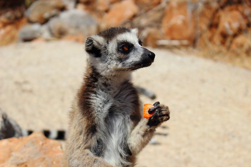Время обедать