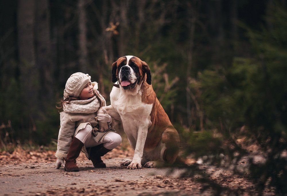 Осеннее знакомство